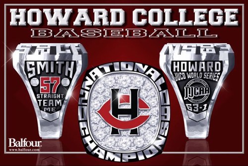 Howard Baseball Profile