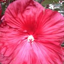 Tamra Huff - @tamrahuff85 - Twitter