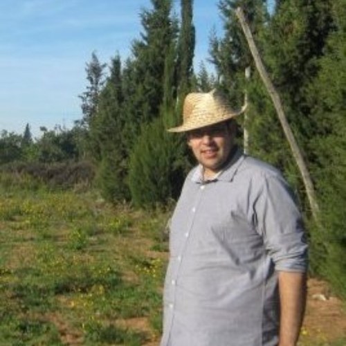 nachefo's profile picture. 