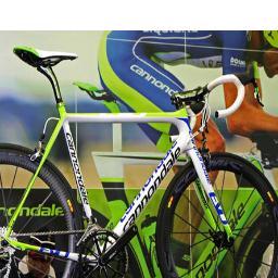 GenesisBicycles's profile picture. 