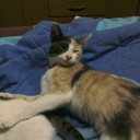 MARION!!! - @MARION_JUDITH - Twitter