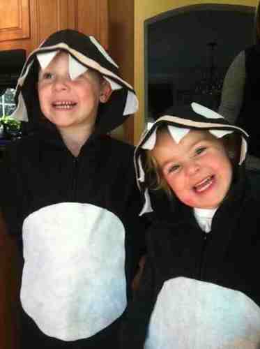 srogers4624's profile picture. 