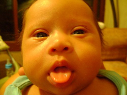 BrunoKido's profile picture. 