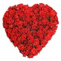 دليل الزواج والاسرة (@zawag_w_zawaj) Twitter profile photo
