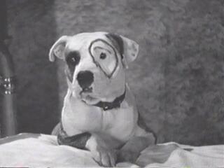 burnsey72's profile picture. Sowing the seeds of love, one animal rescue at a time...