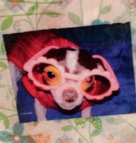 starrubio's profile picture. 