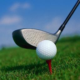 Insiders Tips, Tricks, and Techniques for Beginner and Advanced Golfers! Motivational quotes, tools, and much more...