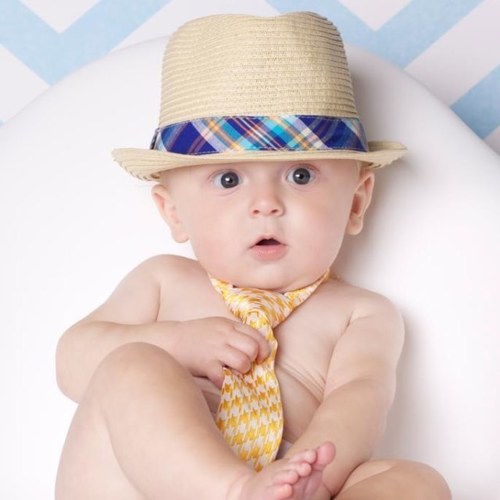 KPportraits's profile picture. 