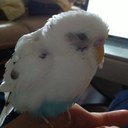 snow - @SnowAjay - Twitter