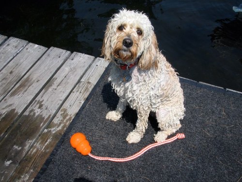 KarenStock3's profile picture. 