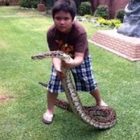 🐉 $MONJoshua D. Carlos (@joshuadcarlos) 's Twitter Profile