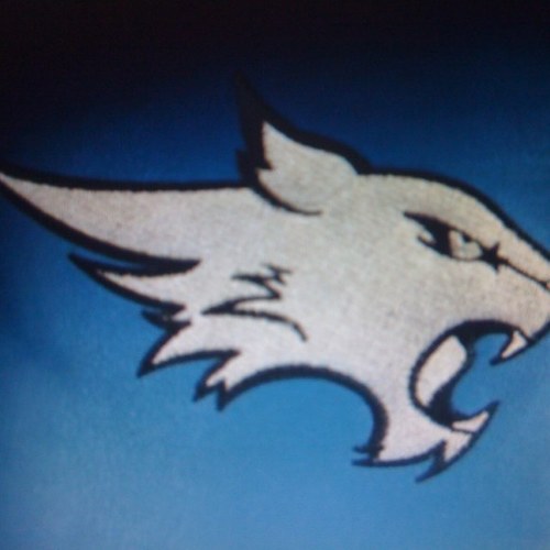 PROUD TO BE A WILCAT! #bluecrew #blueout #BeatTomball