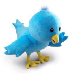 The #1 #TeamFollowBack team on twitter. Want Followers? Want Us to Tweet Something For You? #Contact TeamFollowPromo@gmail.com For #Prices & #Business #FollowUs