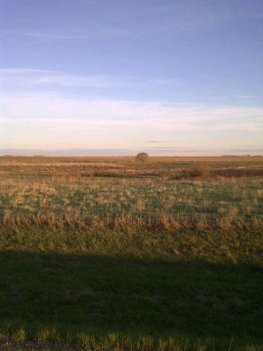 typicalquirk's profile picture. 