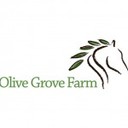 Olive Grove Farm - @OliveGroveFarm - Twitter