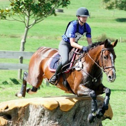 New Zealand eventing rider currently with 5 horses for the 2013/ 2014 season