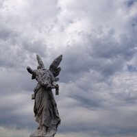 Louise M Cooper (@loumcooper) 's Twitter Profile