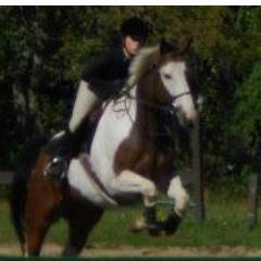 AmyCakes_23's profile picture. 