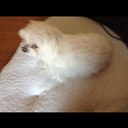 Harvey Hester - @xiharvix - Twitter