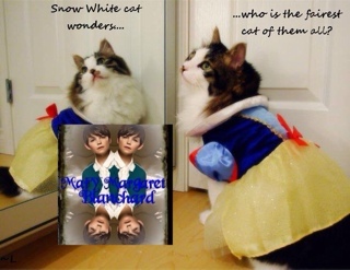 MissMaryMB's profile picture. I am a teacher and until recently a hospital volunteer. I love hot cocoa with cinnamon, being sweet, and helping people. I don't like apples!