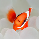 Stanley Loh - @StanleyLoh78 - Twitter