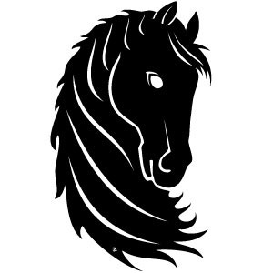 We are a friendly, professional, family run Tack Shop offering quality riding equipment for you and your horse