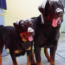 joel espinosa - @bocas1992 - Twitter