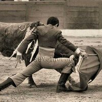 Jose Antonio Lavado (@jose_lavado) 's Twitter Profile