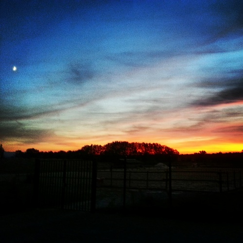 Loode31's profile picture. 