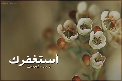 لاإله الاالله محمد رسول الله
