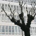 Abraham Trujillo - @EzcandarAkbar - Twitter