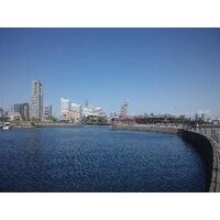 katagiri (@kichoh_katagiri) 's Twitter Profile