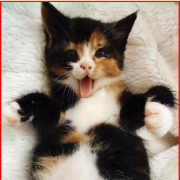 puiocul's profile picture. Loving live even if life doesn't love me back...