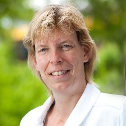 JokeVreugdenhil's profile picture. 