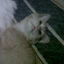 Luna Escobar - @escoisa - Twitter