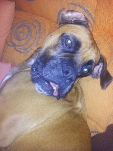 Dmartinca's profile picture. 