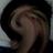 bonzo_dog_alex's profile image