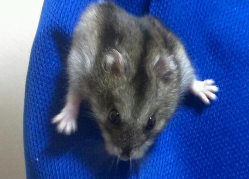 rin_seabass's profile picture. 