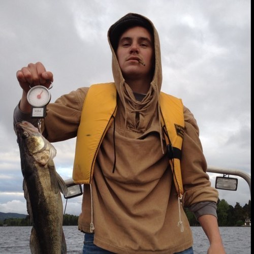 lillreine's profile picture. 