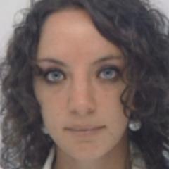 Consultant Facteur Humain - Systèmes Dynamiques Complexes