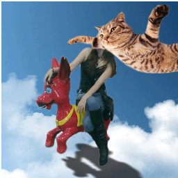 SomedaysAlice's profile picture. .... .. ... . .. ...