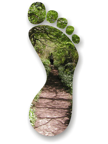 rapunsen's profile picture. De poble i de camp. Enginyer informàtic i agricultor. Curiós.