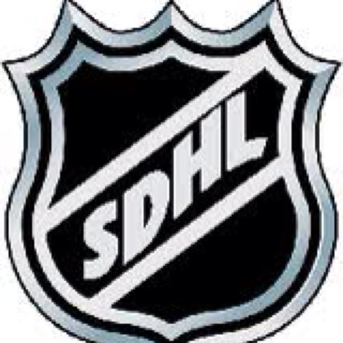 SDHLHockey's profile picture. Official Account of the SDHL