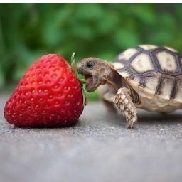 faipresto's profile picture. Studio ingegneria.
Parlavo di serie tv.
Ora conduco Twiit'anch'io il Giovedì dalle 21:00  su https://t.co/WQ3ooS9sCn. Seguici @twittanchio