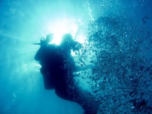 Live_Free_Love's profile picture. 