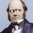 Lolz Darwin