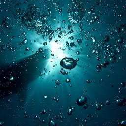 anindyakundu4's profile picture. Some how employed where the unemployment rate is more than 15%.