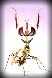 saidthosepeople's profile picture. I raise them and let them prosper