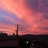 n_sugi3939
