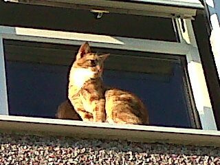 bigman2357's profile picture. 